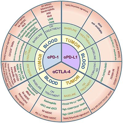 Myeloid Cells as Clinical Biomarkers for Immune Checkpoint Blockade